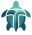 Transparent Turtle