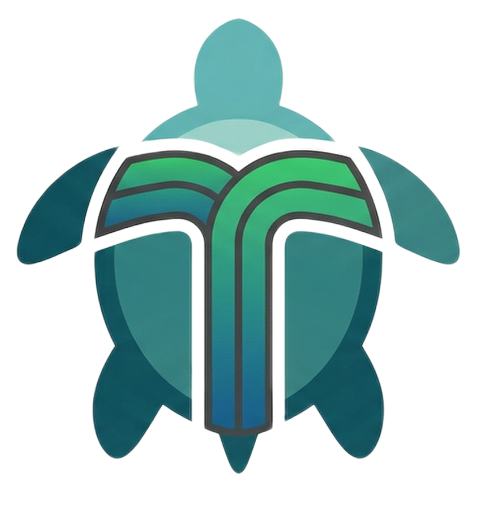 Transparent Turtle