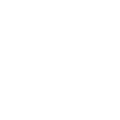 Transparent Turtle